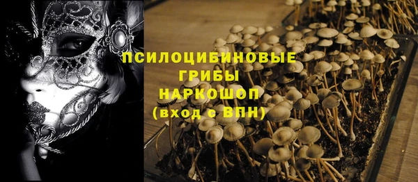 ПСИЛОЦИБИНОВЫЕ ГРИБЫ Магас